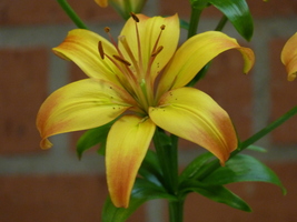 Foto: Dr. Peter Müller